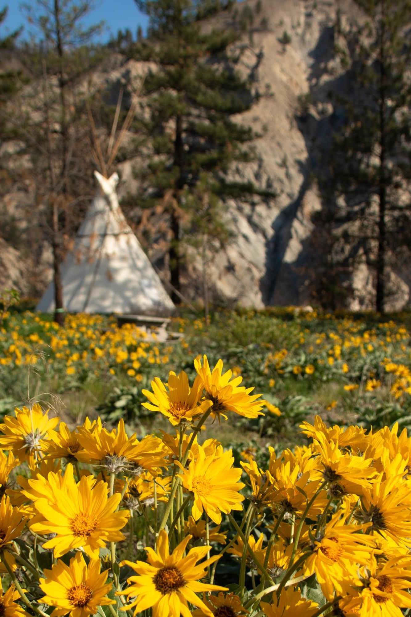 Kumsheen Rafting Resort Lytton 외부 사진