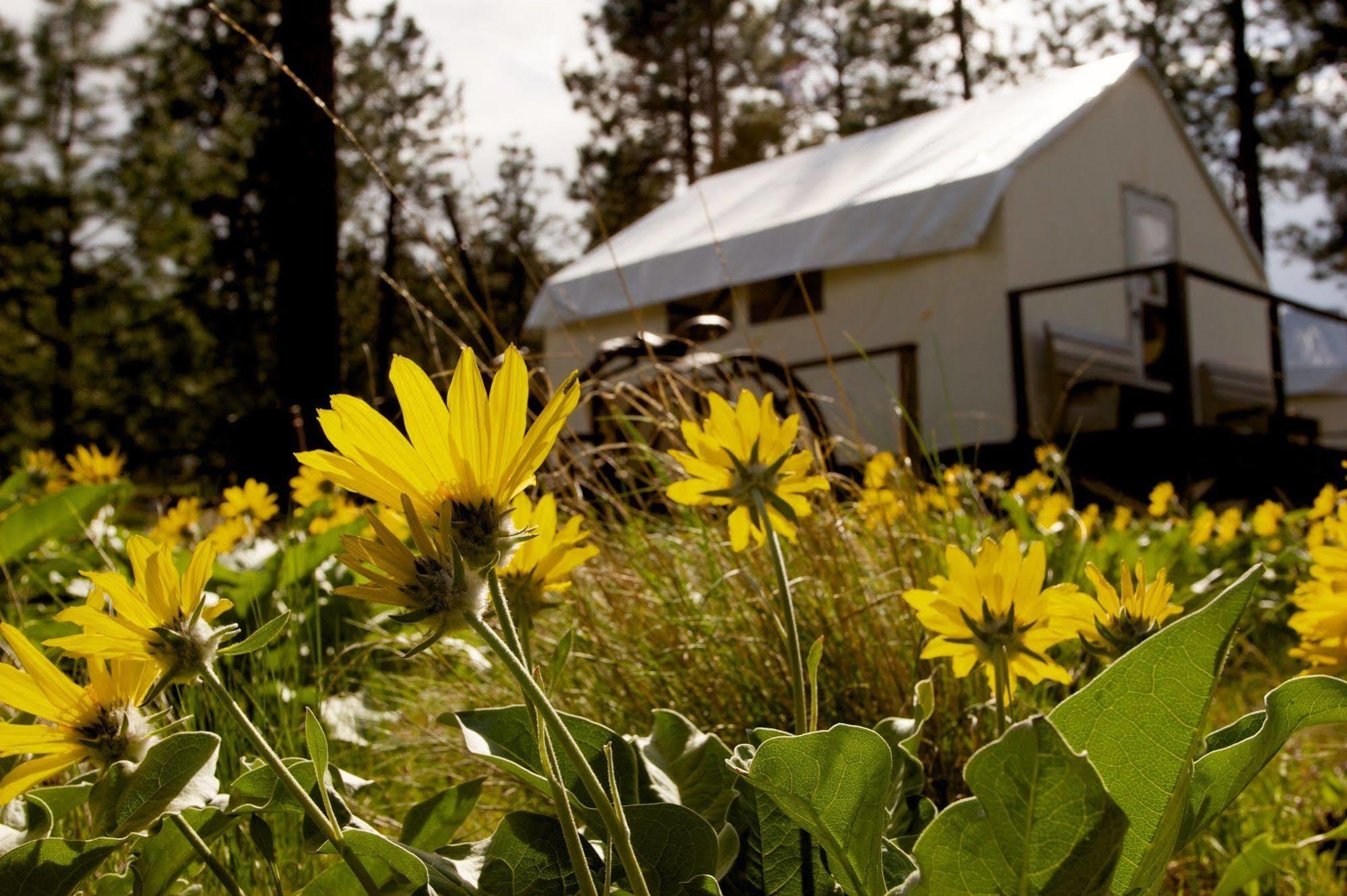 Kumsheen Rafting Resort Lytton 외부 사진